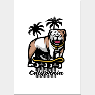 Bulldog on a skateboard. Posters and Art